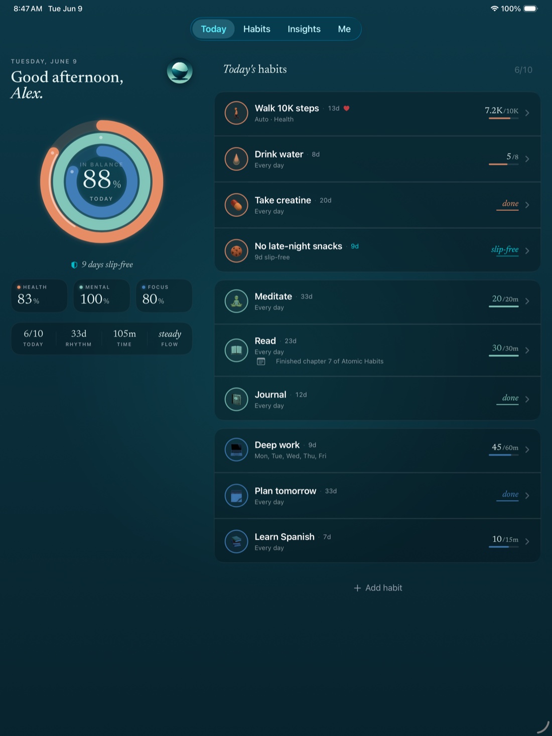 Stasis on iPad showing the balance rings and today's habits