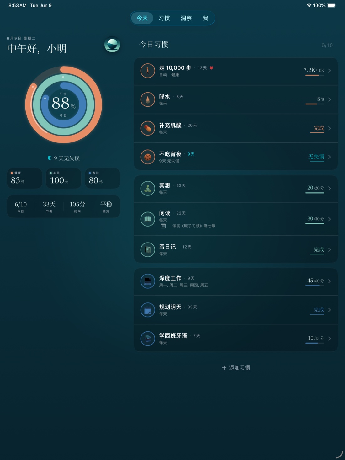 iPad 上的 Stasis，显示平衡圆环与今日习惯